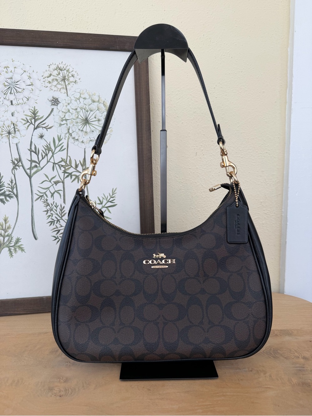 Coach Teri Hobo Bag in Signature Canvas